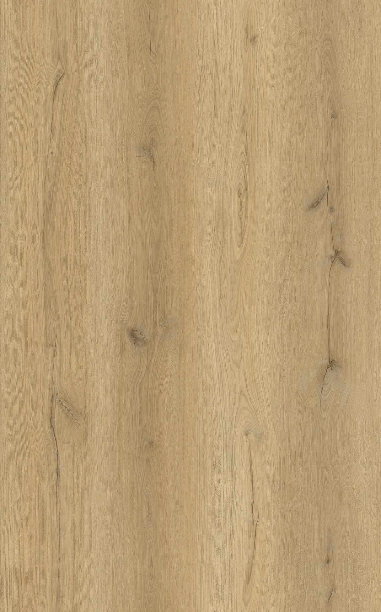 Alva Plank Elm Oak