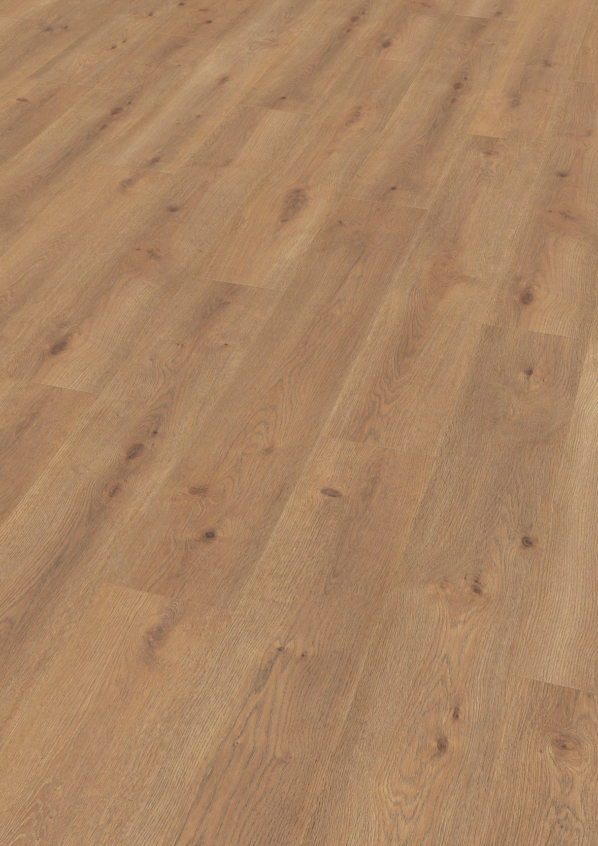 Bern Oak Laminate Flooring