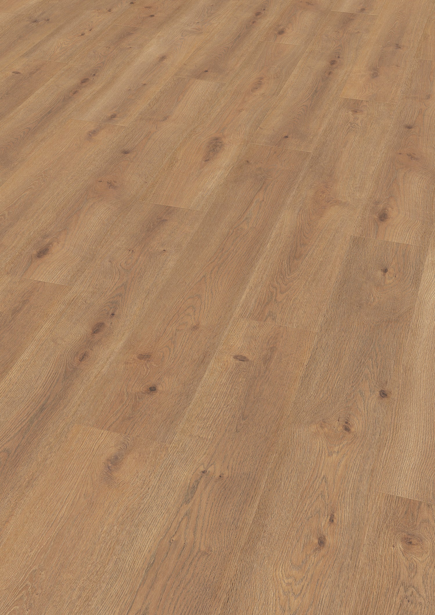 Bern Oak Laminate Flooring