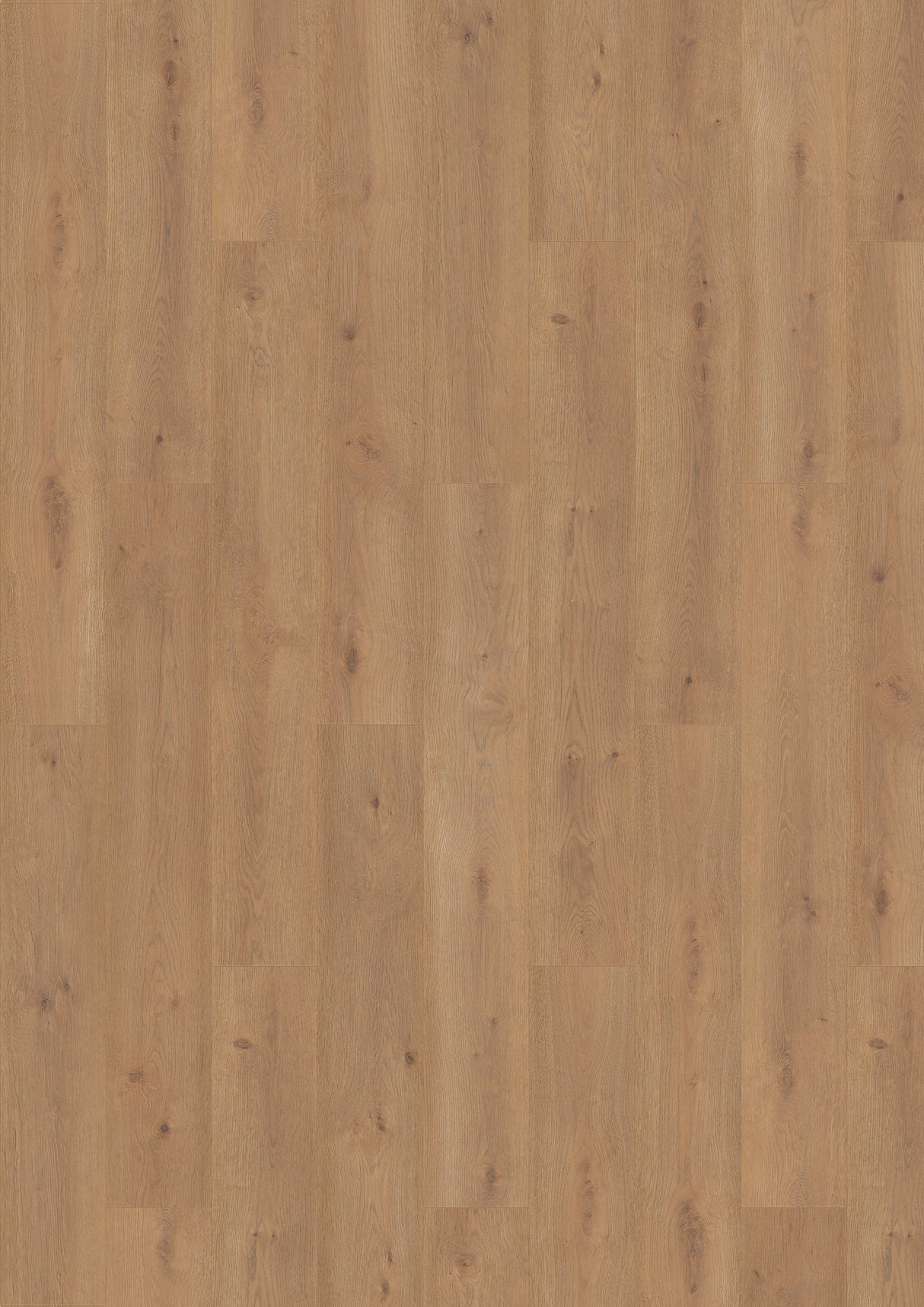 Bern Oak Laminate Flooring