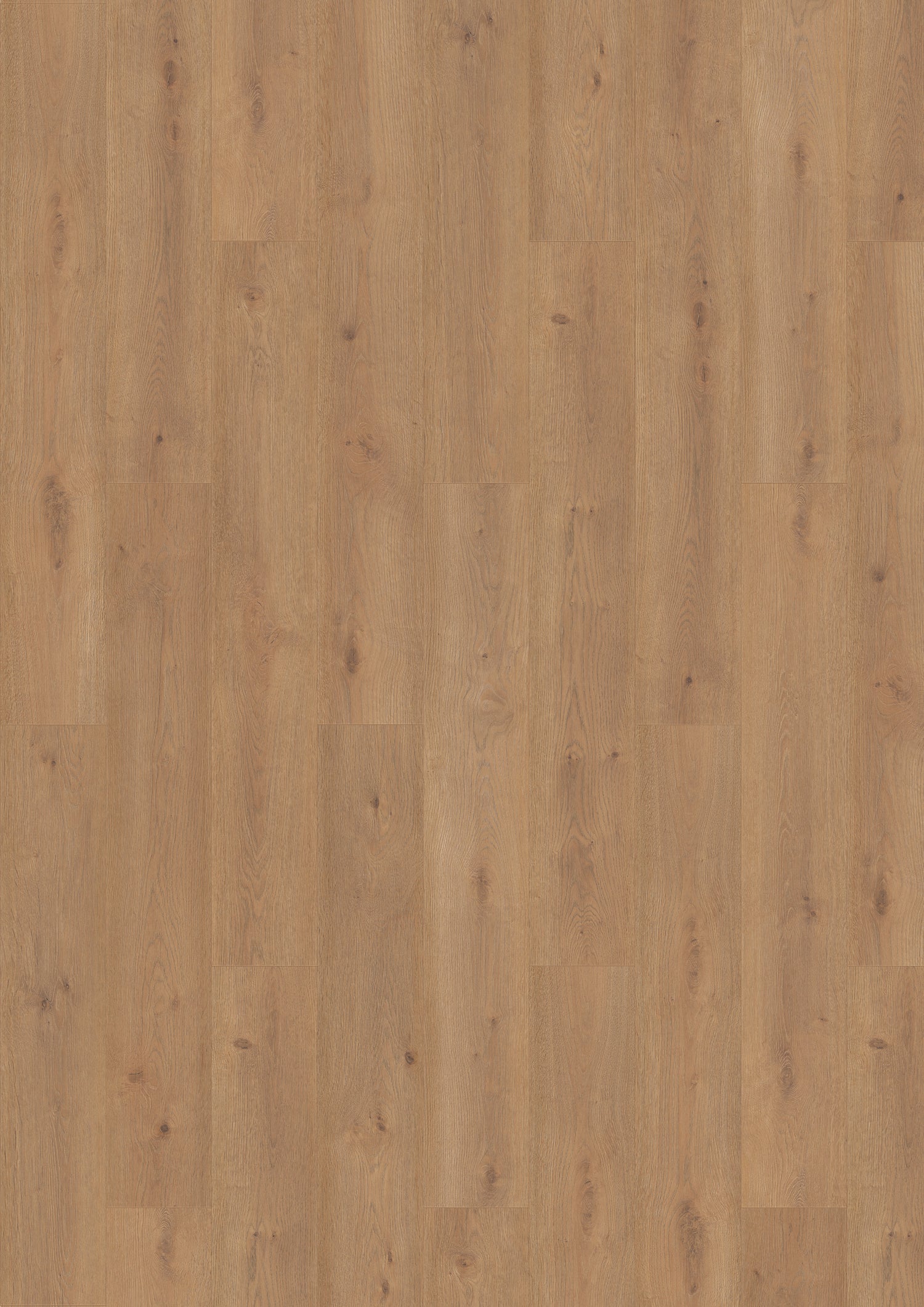 Bern Oak Laminate Flooring
