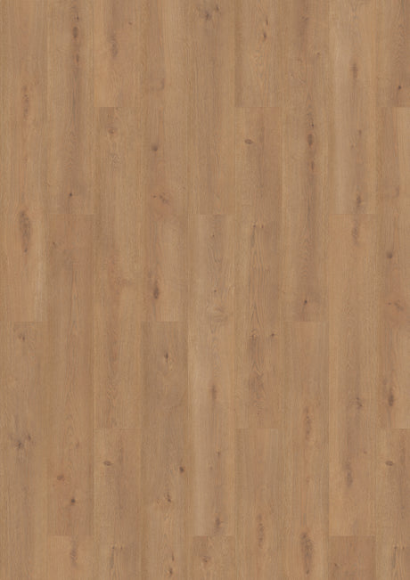 Bern Oak Laminate Flooring