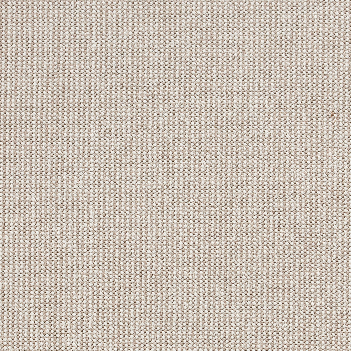Boucle E6404 White/Brown Boucle Rug