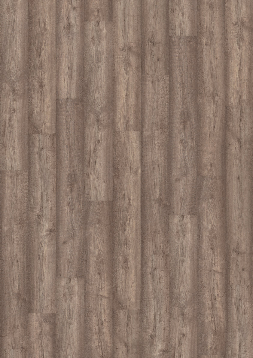 4MV Roble Columbia Tibet Oak