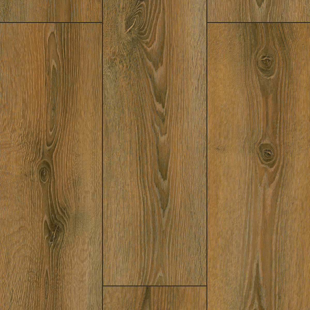 StepClick Prime 8mm - Golden Gate