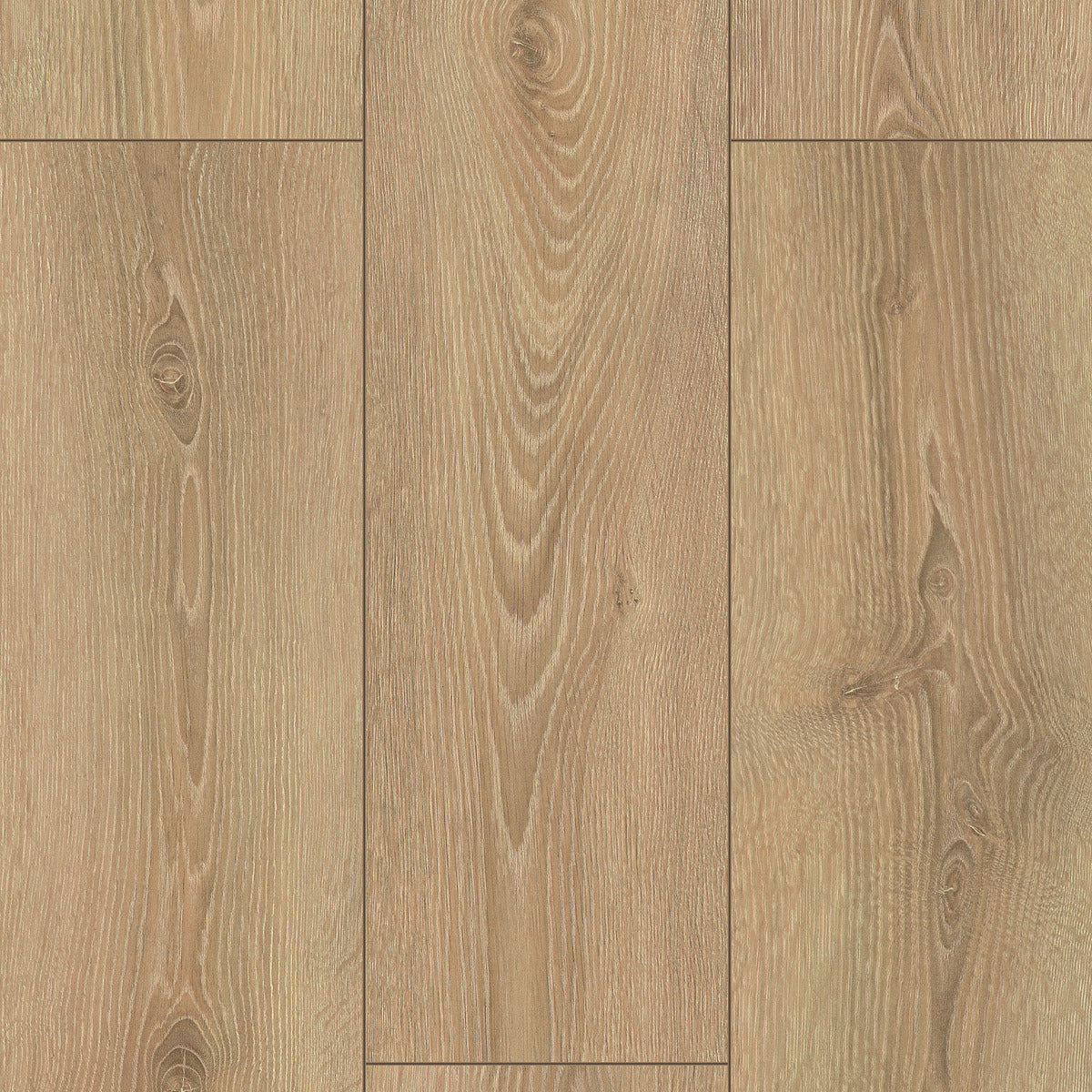 StepClick Prime 8mm - Rialto