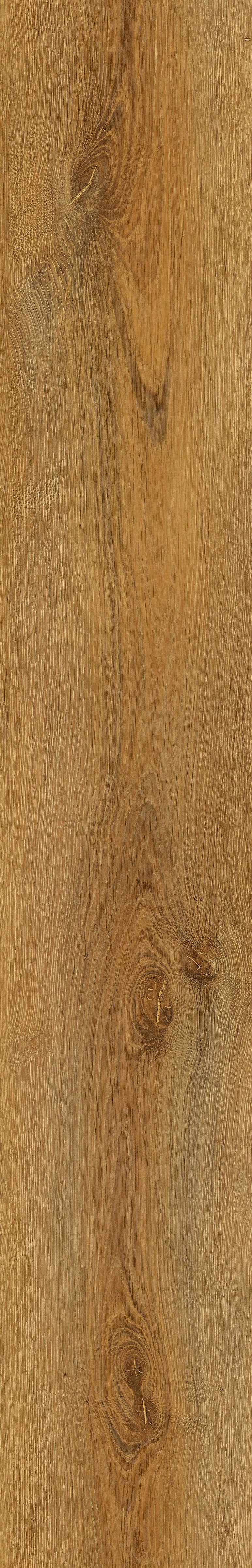 StepClick Prime 8mm - Avignon