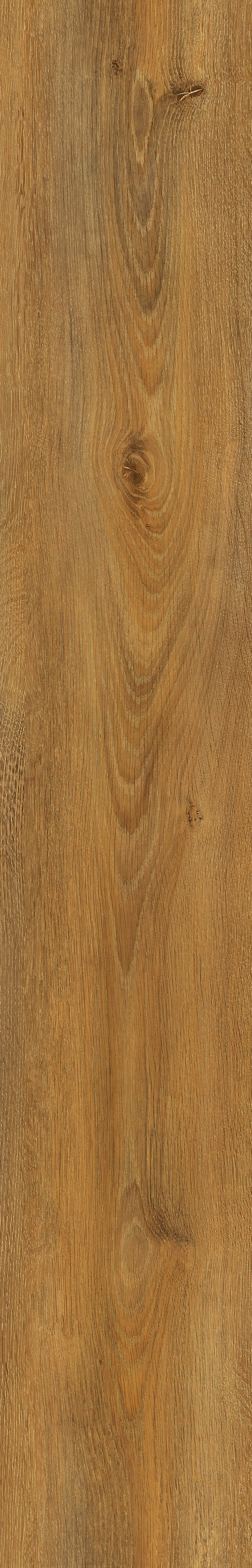 StepClick Prime 8mm - Avignon