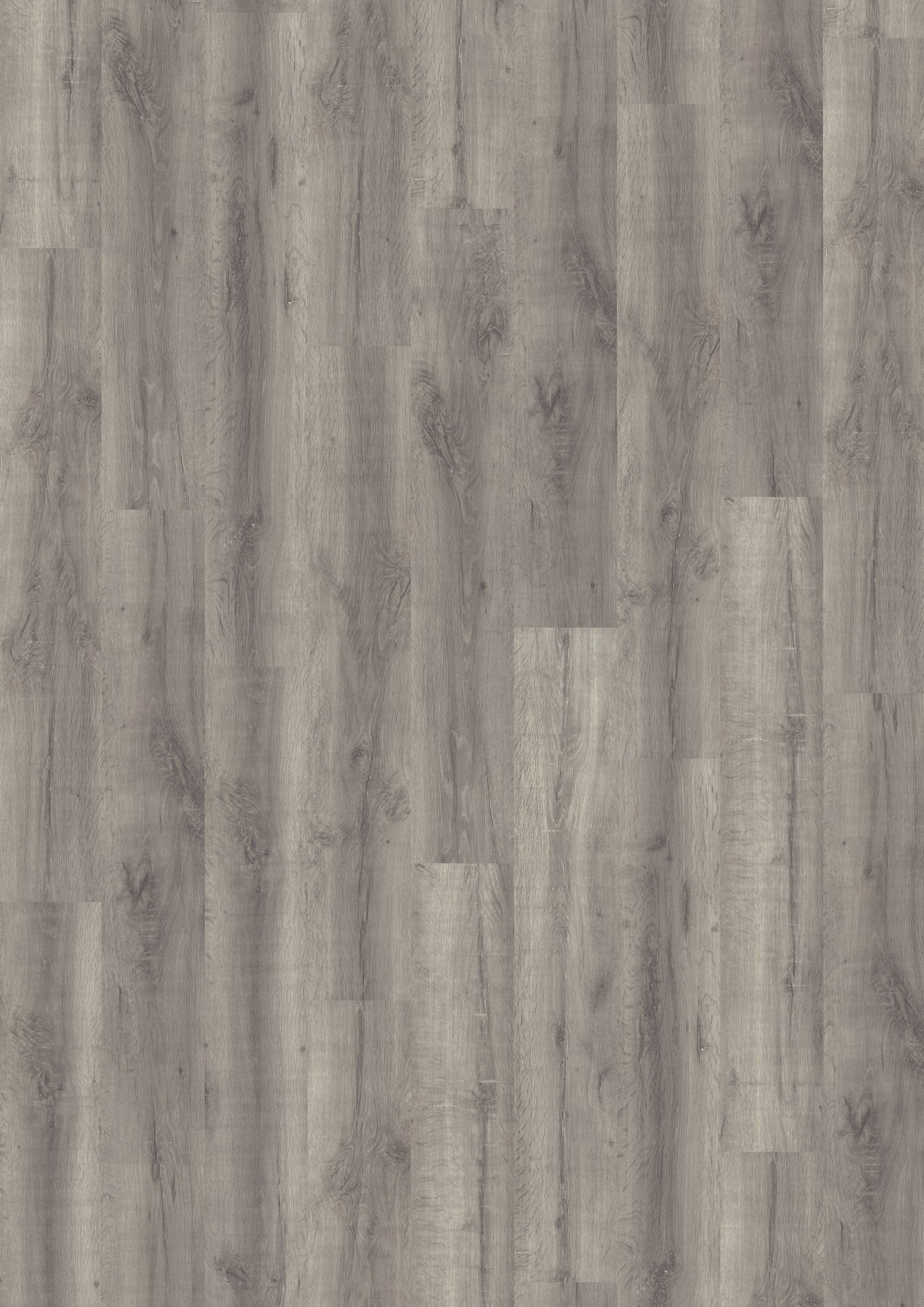 4MV Glaciar Oak Laminate Flooring
