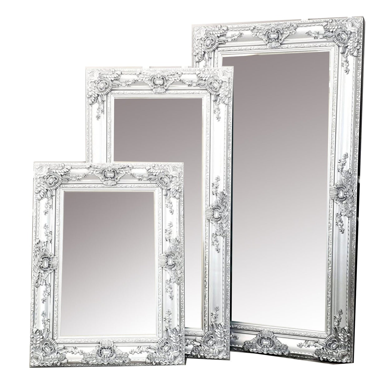 Roma Bevel Mirror in Silver