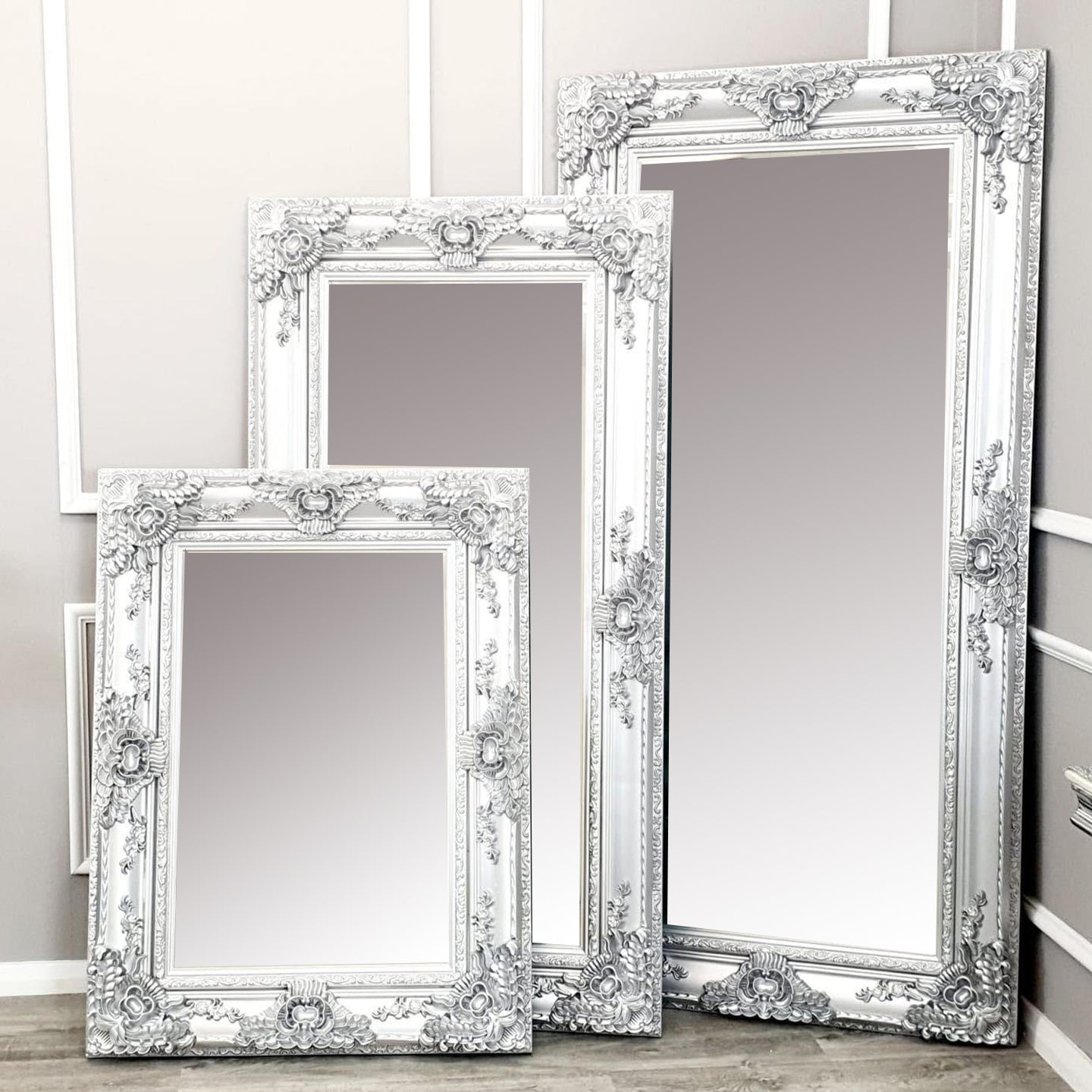 Roma Bevel Mirror in Silver