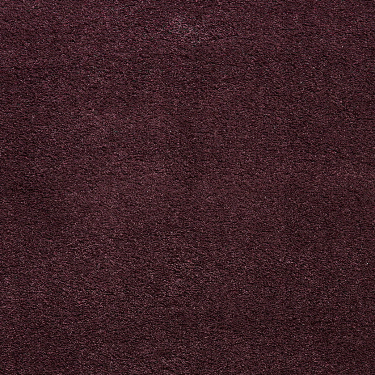 Sierra 9000 Purple Plain Shaggy Rug