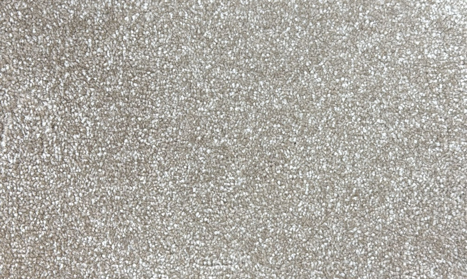 Peta Range - Luxurious Thick Pile Carpet – Soft, Durable & Affordable