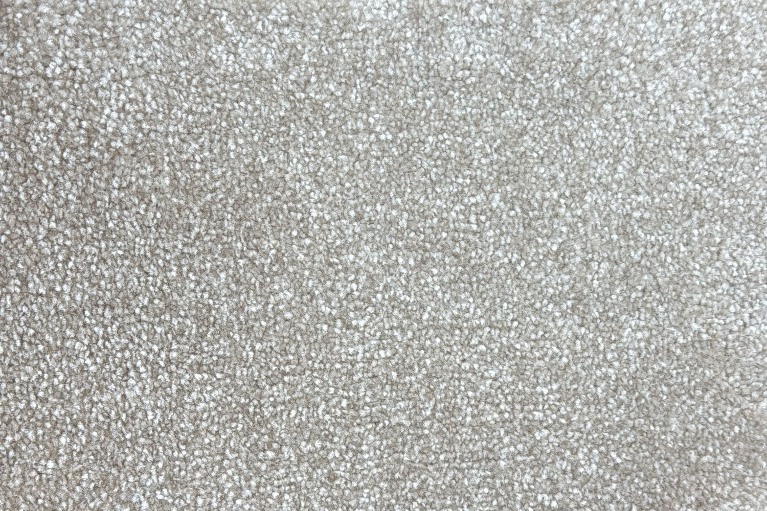 Peta Range - Luxurious Thick Pile Carpet – Soft, Durable & Affordable