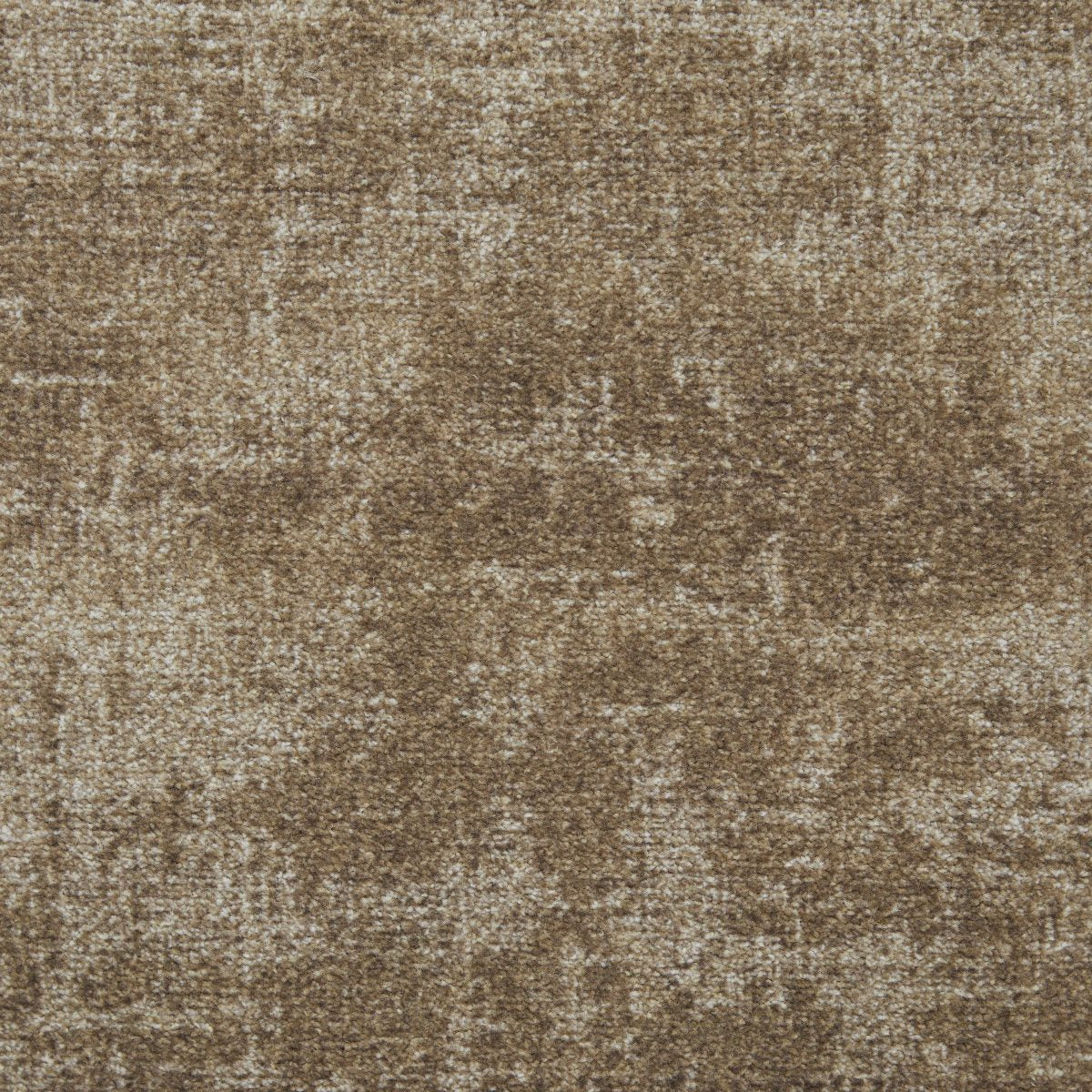 Atosphere Carpet