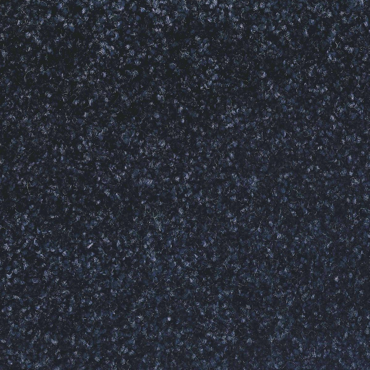 Bliss Carpet