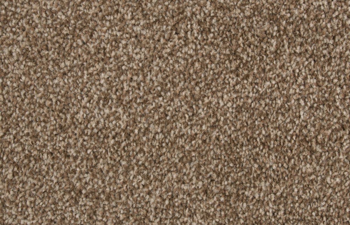 Bliss Carpet