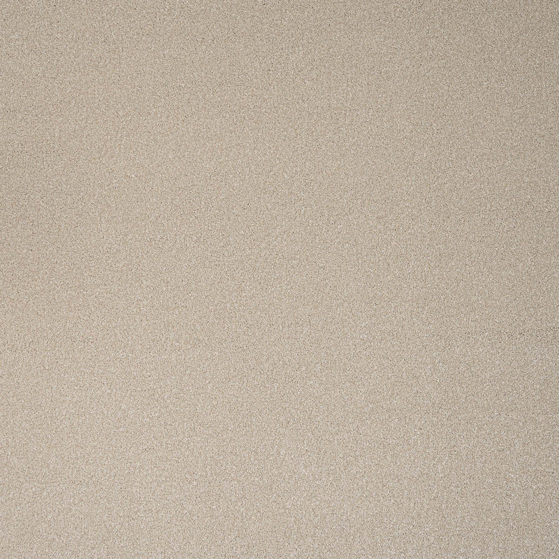 Carpets - Zenith Twist Range