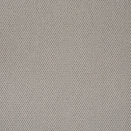 Carpets - Primo Textures