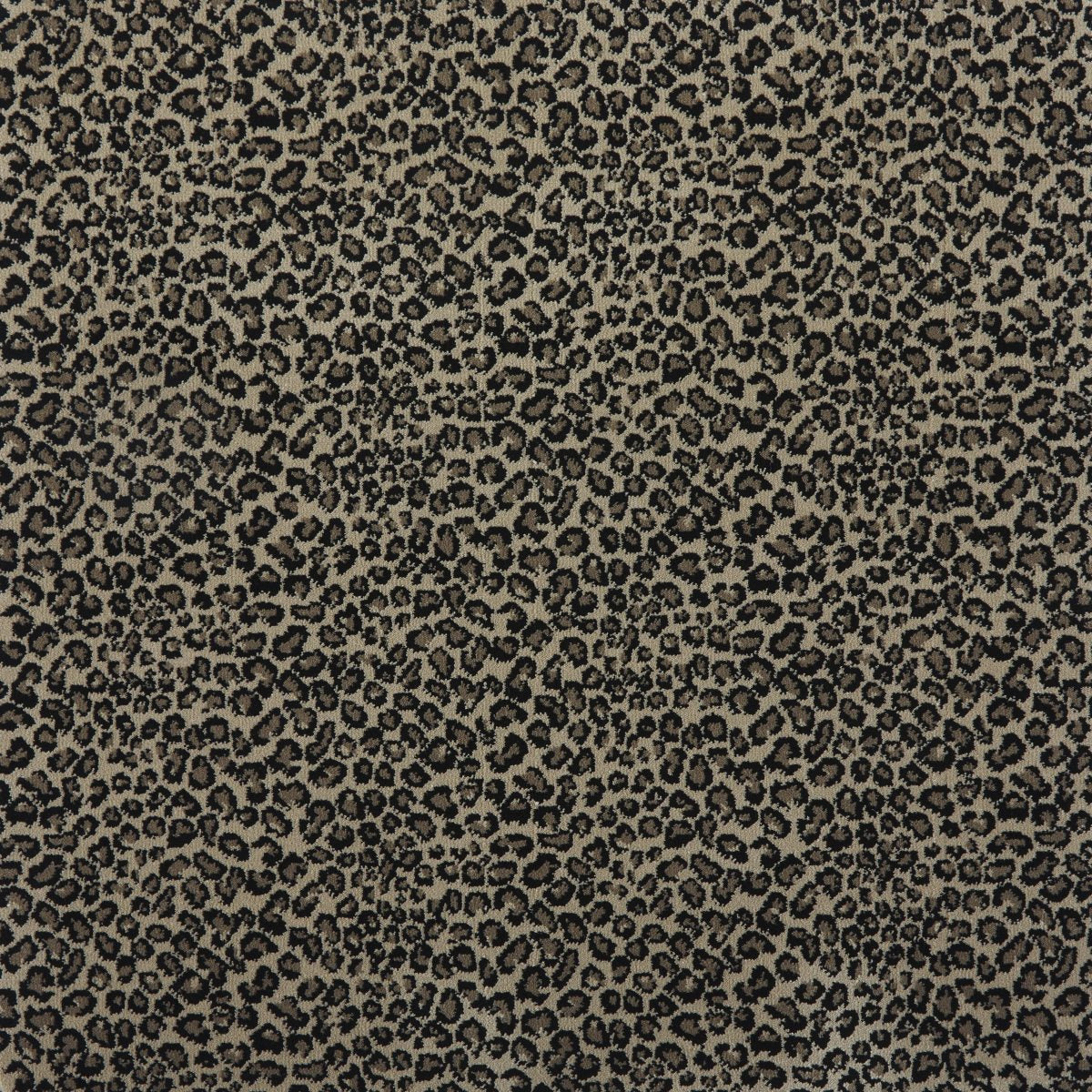 G Design Wilton Carpet