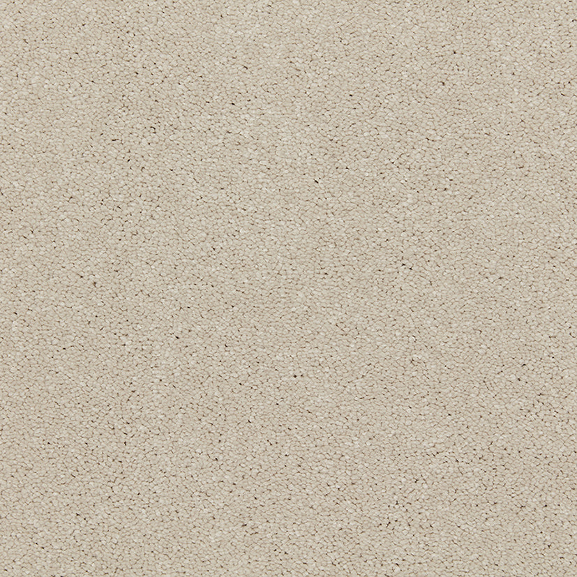 Carpets - Riva Range
