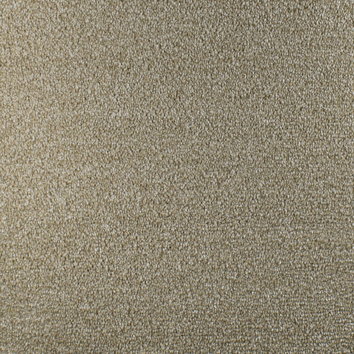 Serendipity Carpet