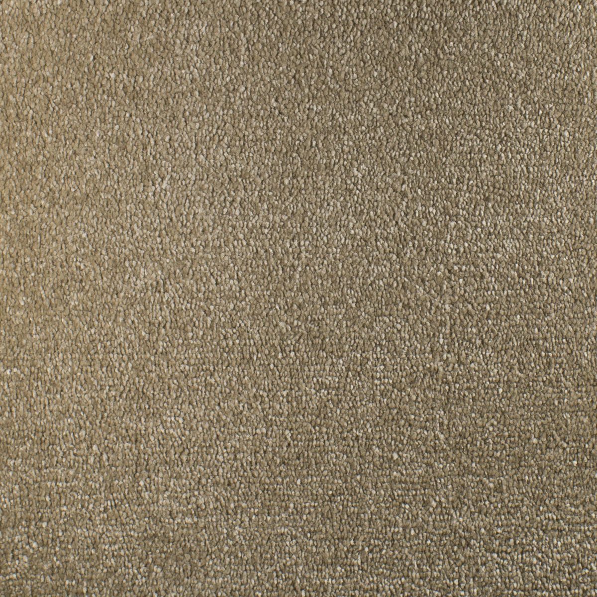 Serendipity Carpet