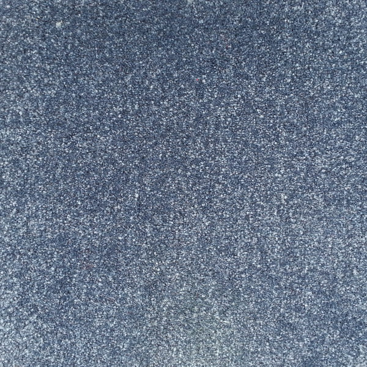Serendipity Carpet