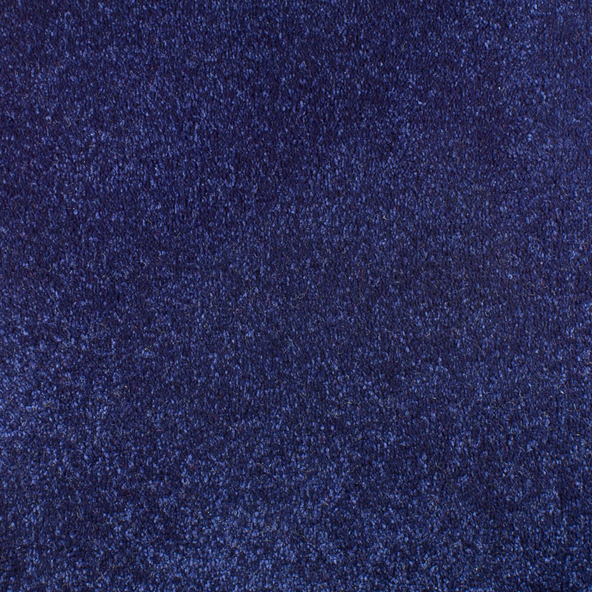 Serendipity Carpet