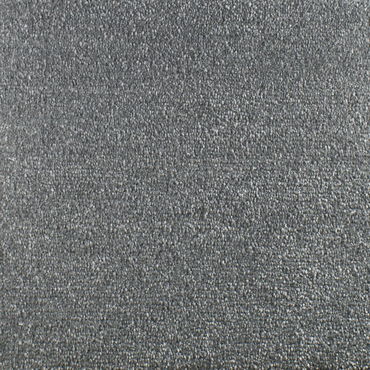 Serendipity Carpet