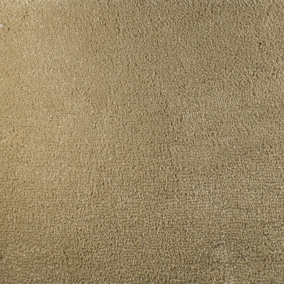 Serendipity Soft Touch Carpet