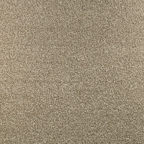 Serendipity Soft Touch Carpet