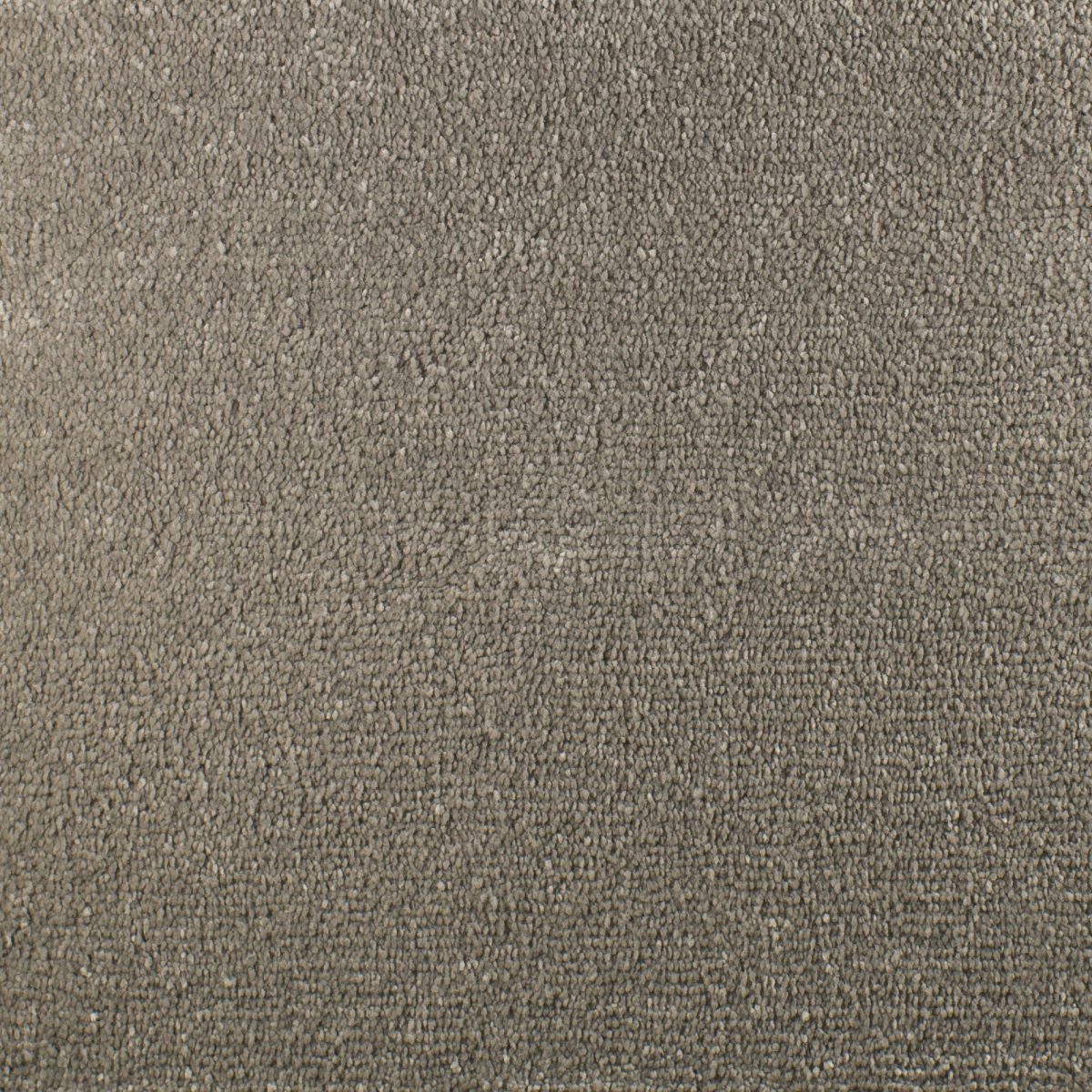 Serendipity Soft Touch Carpet