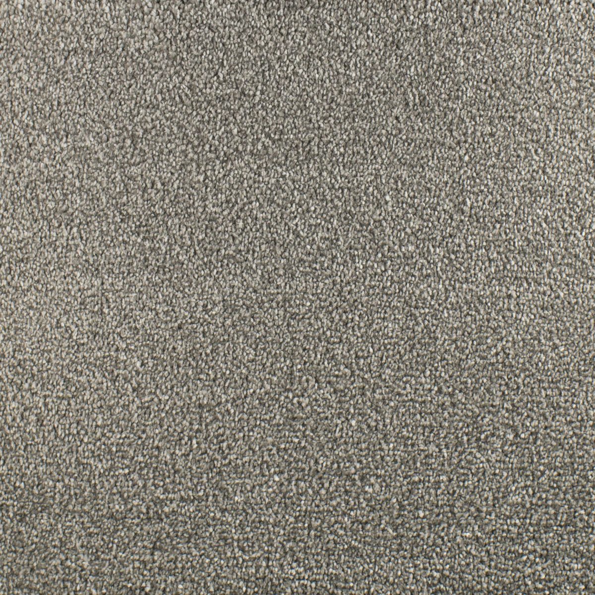 Serendipity Soft Touch Carpet