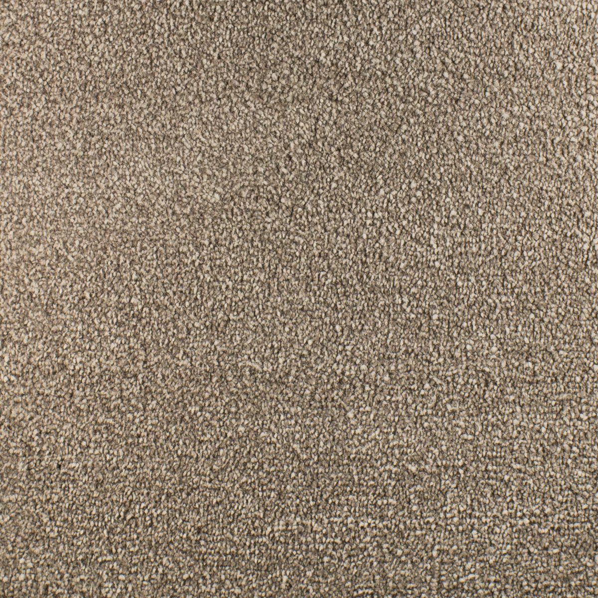 Serendipity Soft Touch Carpet