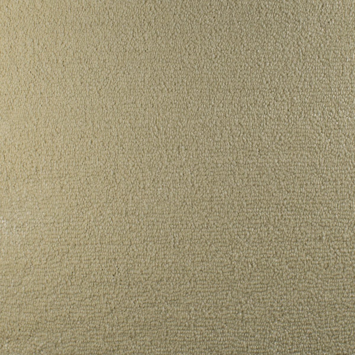 Serendipity Soft Touch Carpet