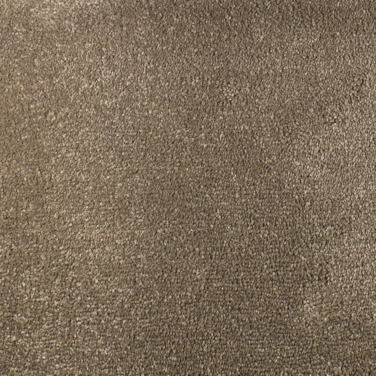 Serendipity Soft Touch Carpet