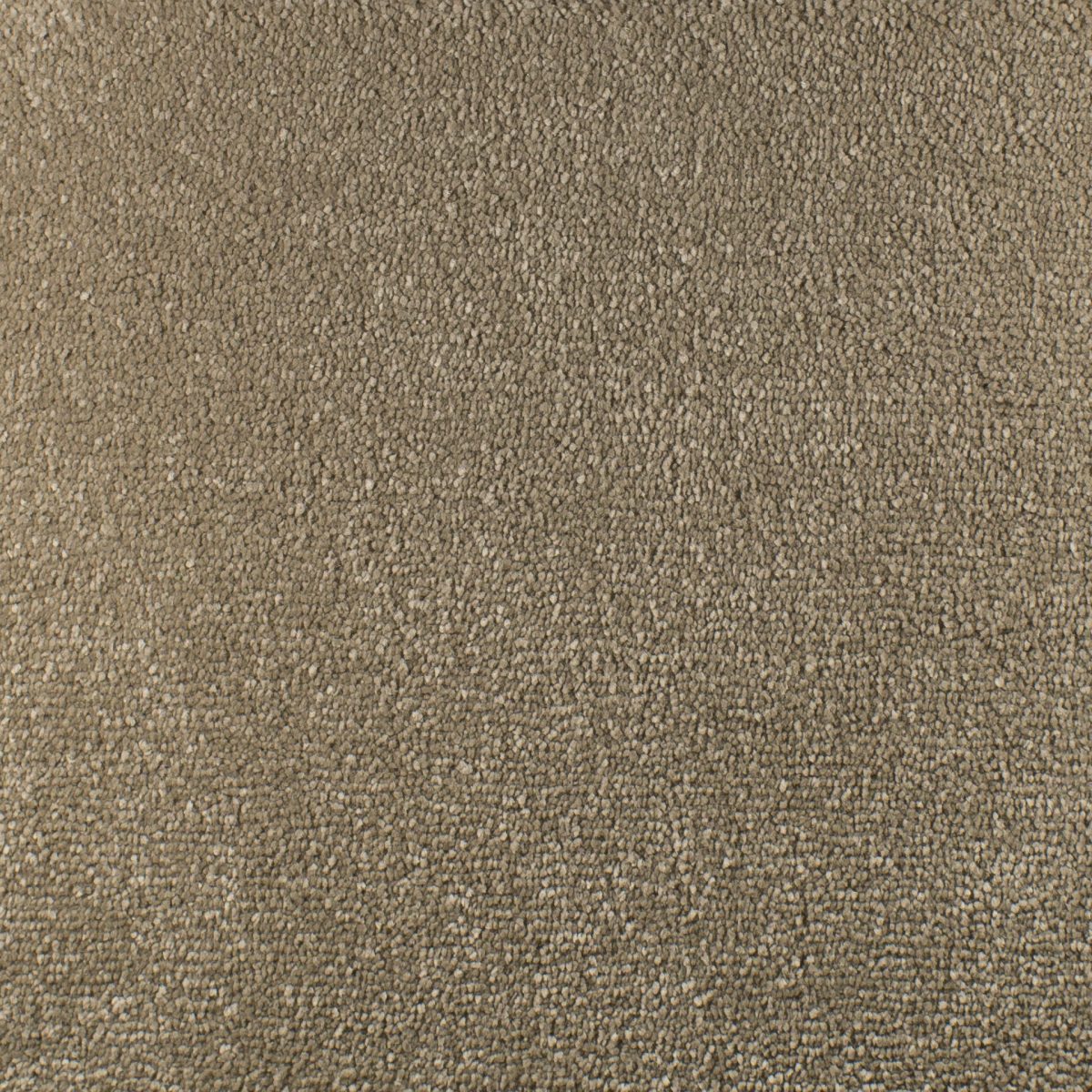Serendipity Soft Touch Carpet