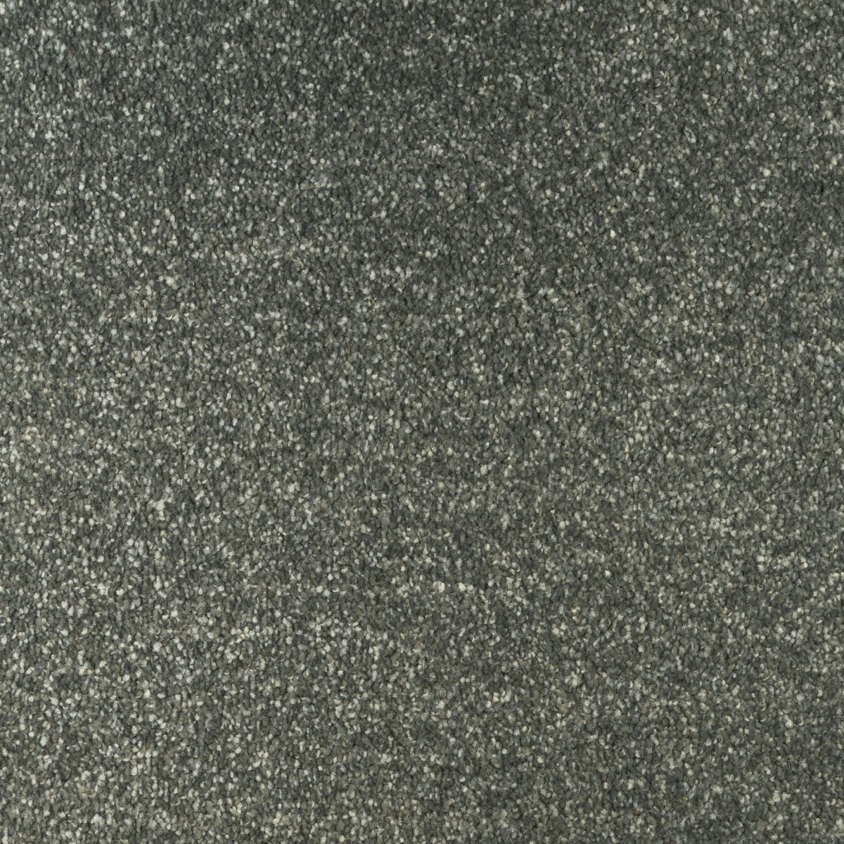 Trinity Carpet
