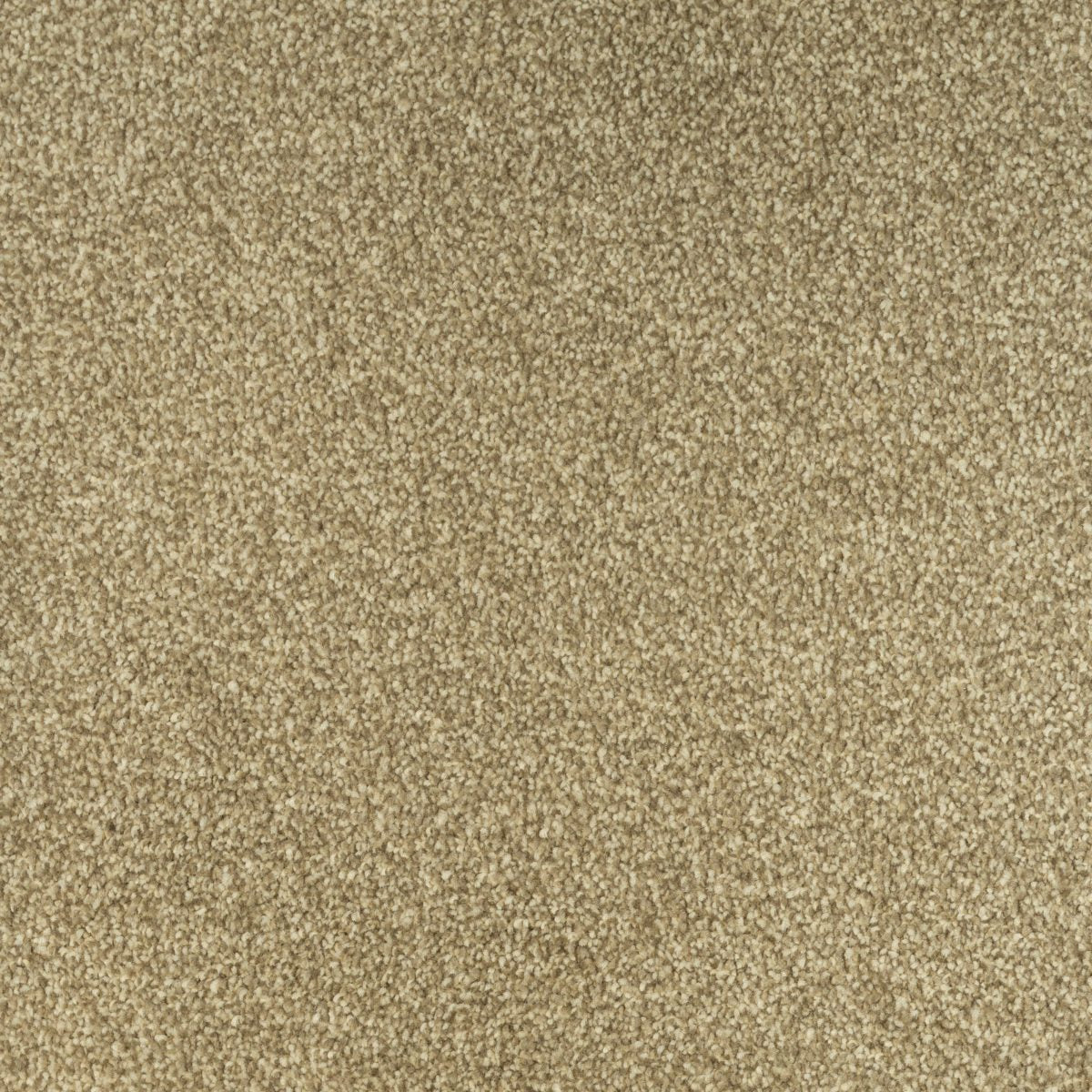 Trinity Carpet