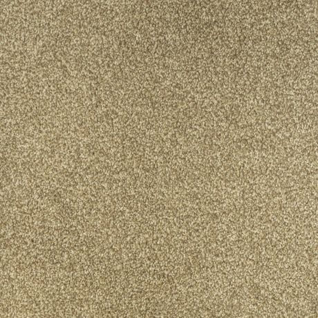 Trinity Carpet