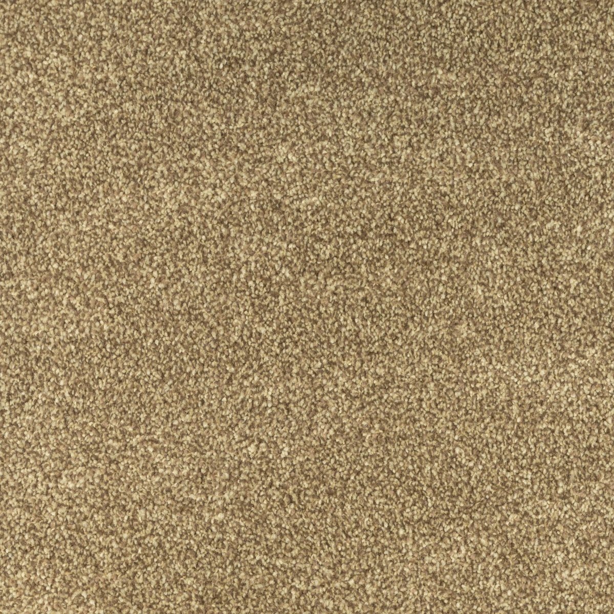 Trinity Carpet