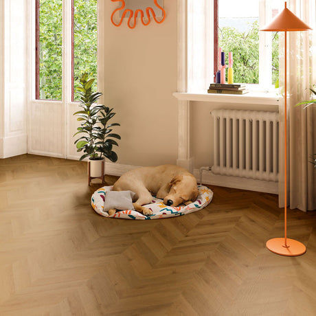 FINfloor Durable Supreme Espiga Dijon Chevron Vintage