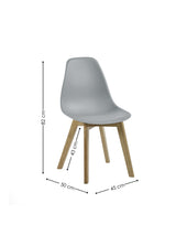 Agatha Plastic Dining Chair (Set of 2)