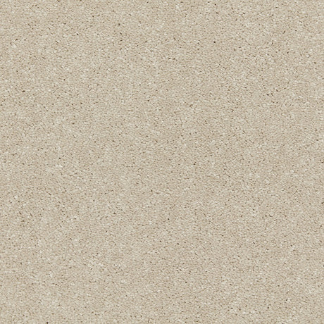 Carpets - Riva Range