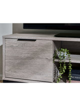 Bali TV Unit