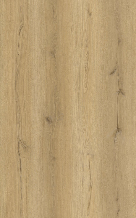 Alva Plank Elm Oak