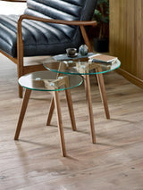 Bryant Round Glass Top Nest of 2 Side Tables