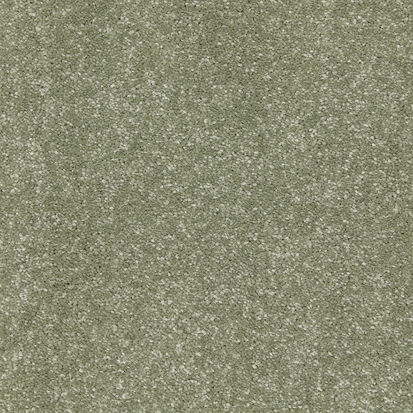 Carpets - Riva Range