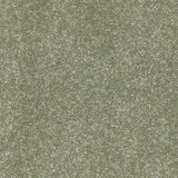 Carpets - Riva Range